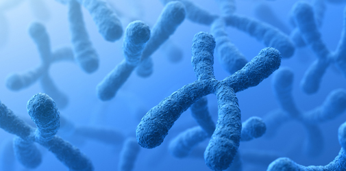 Cytogenetics